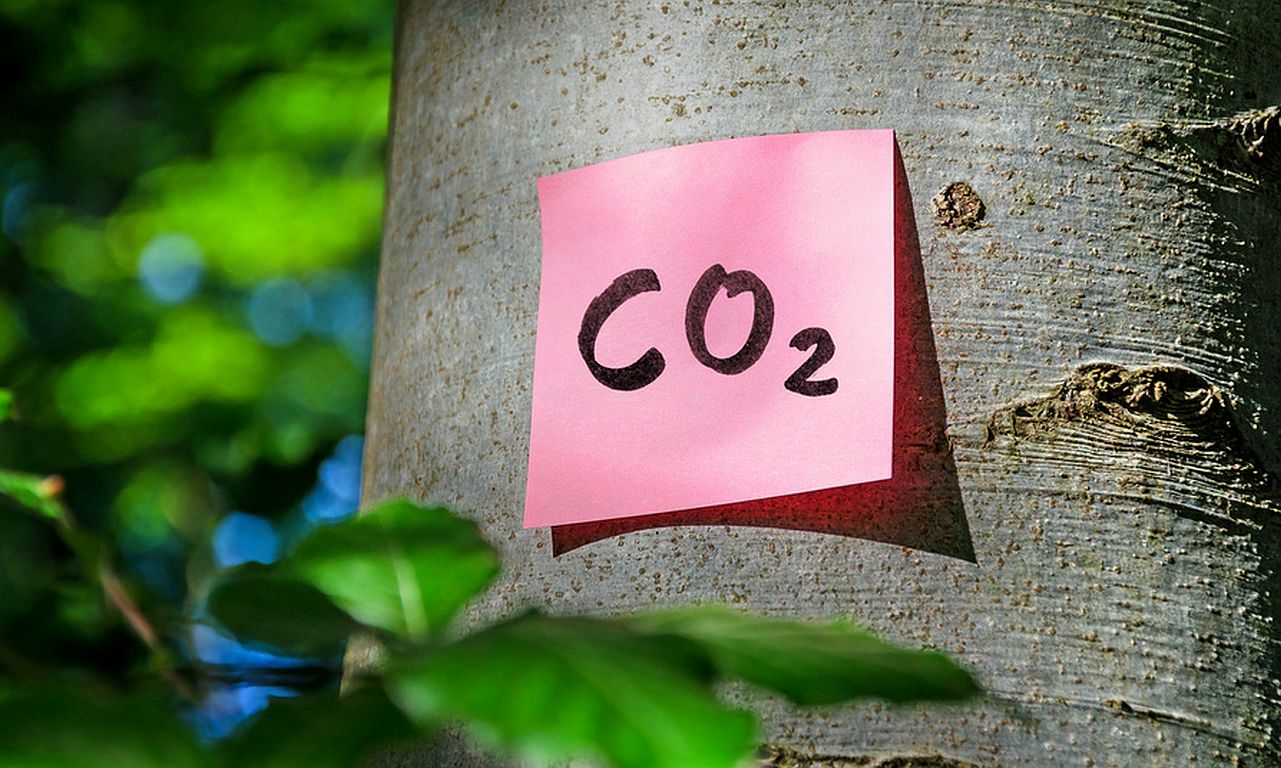 Rechtsrisiko Green Claims? Das sagen Juristen
